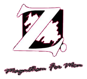 Z Magnetism For Men